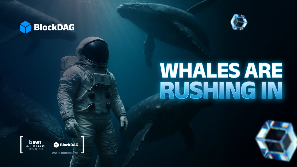 $432M in Whale Capital: The Foundation for the Next Market Giant 1 image 191